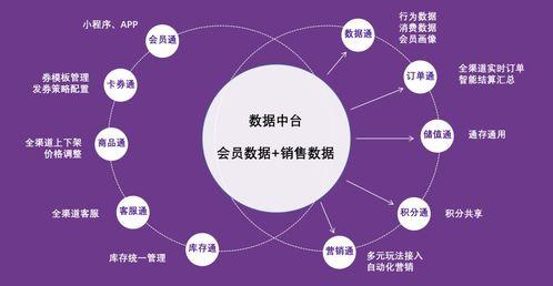 紫(zi)日(ri)軟(ruan)件(jian)導(dao)購通(tong)3.0 直連(lian)消費(fei)者，驅(qu)動銷量(liang)暴漲的智(zhi)能(neng)銷售解(jie)決(jue)方案(an)